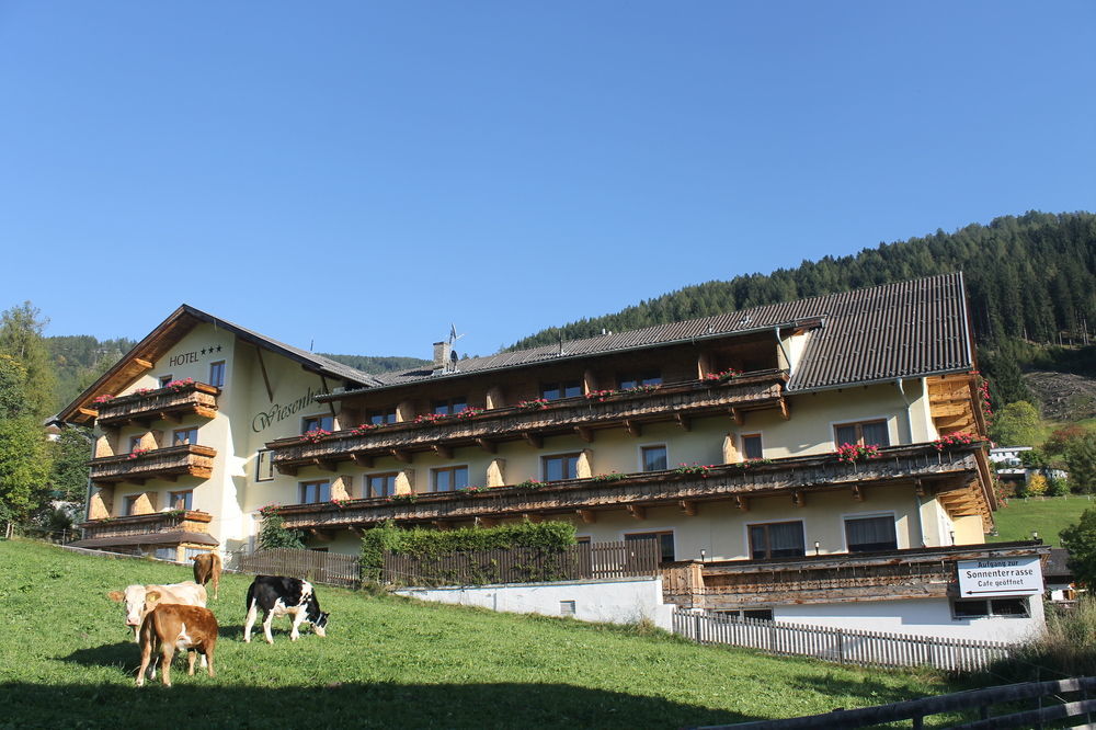 Hotel Wiesenhof 미에더스 외부 사진